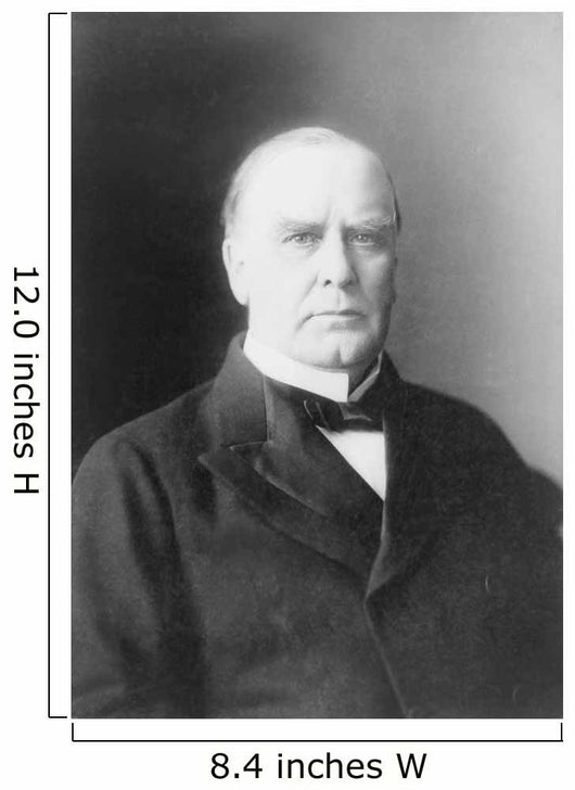 William McKinley Portrait circa Wall Decal Design 2