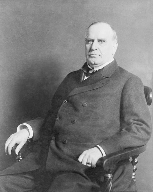 Portrait President William McKinley Wall Decal
