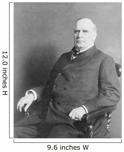 Portrait President William McKinley Wall Decal