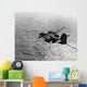 S-2e Tracker Aircraft during Wall Decal