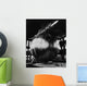 Nasa Echo Ii Balloon Wall Decal