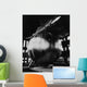 Nasa Echo Ii Balloon Wall Decal