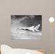 Ra-5c Vigilante Flight circa Wall Decal