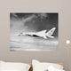 Ra-5c Vigilante Flight circa Wall Decal