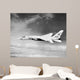 Ra-5c Vigilante Flight circa Wall Decal