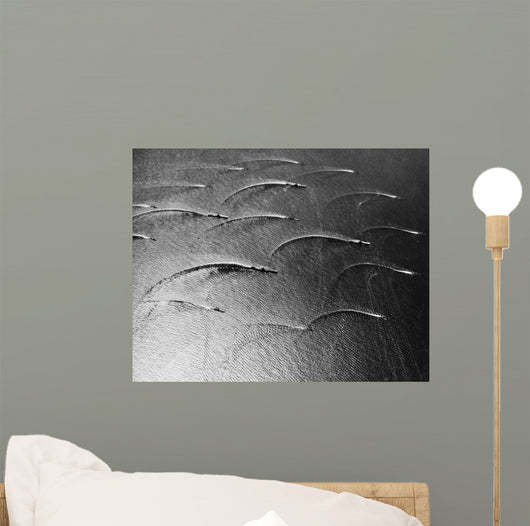 Task Force 77 Operating Wall Decal