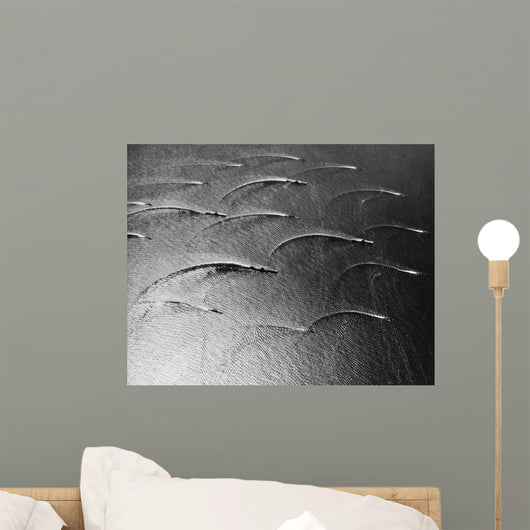 Task Force 77 Operating Wall Decal