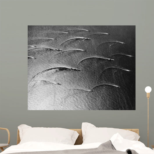Task Force 77 Operating Wall Decal