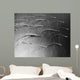 Task Force 77 Operating Wall Decal