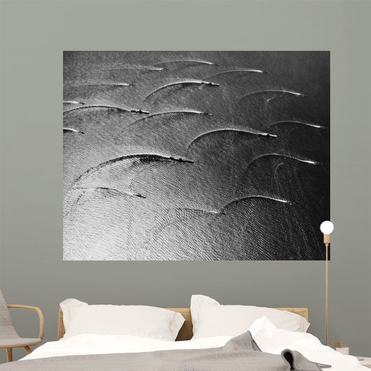 Task Force 77 Operating Wall Decal