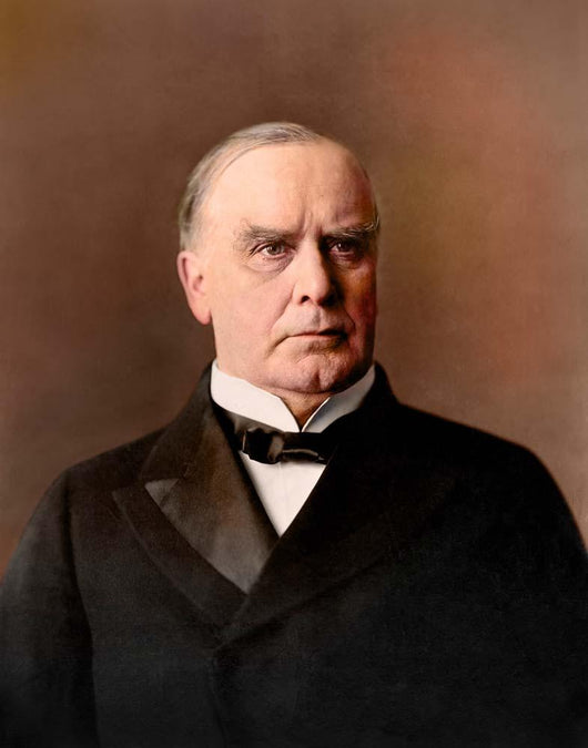 William McKinley Portrait circa Wall Decal Design 1