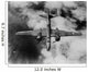 Us Army Air Forces Wall Decal