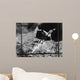 Aerial Photograph Showing Direct Wall Decal