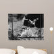 Aerial Photograph Showing Direct Wall Decal