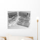 K-rations Used Us Army Wall Decal