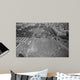 August 28 1963 Aerial Wall Decal Design 2