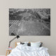 August 28 1963 Aerial Wall Decal Design 2