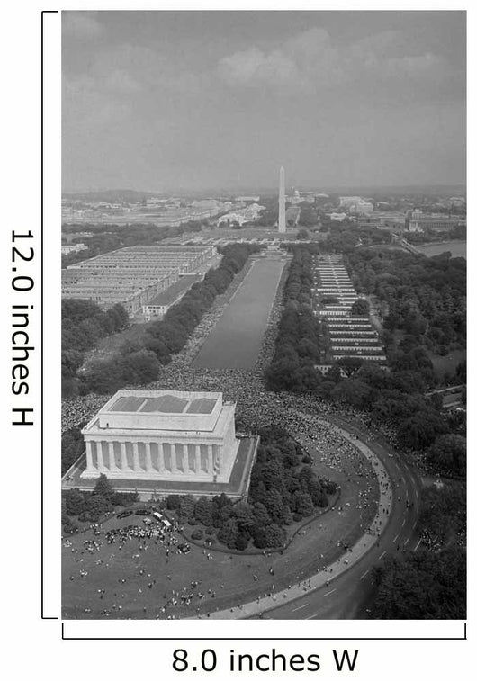 Aerial Civil Rights Marchers Wall Decal
