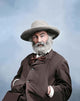 Walt Whitman Portrait circa Wall Decal Design 2