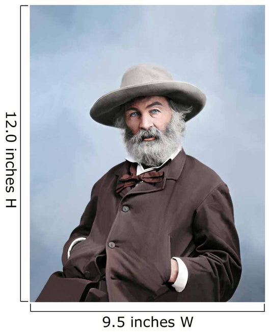 Walt Whitman Portrait circa Wall Decal Design 2
