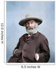 Walt Whitman Portrait circa Wall Decal Design 2