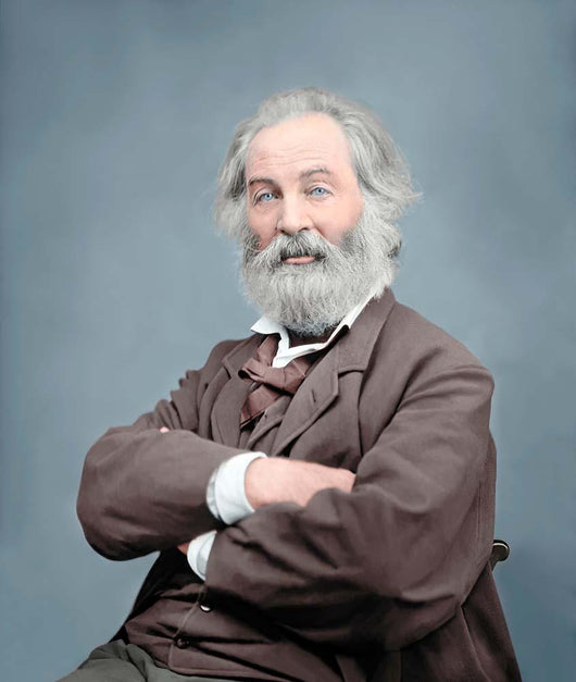 Walt Whitman Portrait circa Wall Decal Design 1