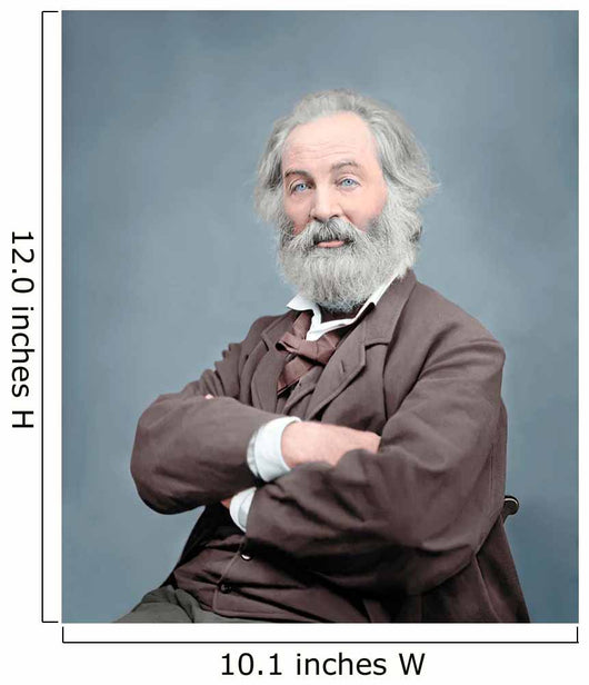 Walt Whitman Portrait circa Wall Decal Design 1