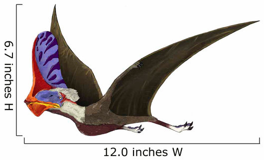 Tapejar Genus Brazilian Pterosaur Wall Decal
