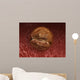 Zygote Development 24-36 Hours Wall Decal
