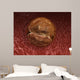 Zygote Development 24-36 Hours Wall Decal