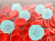 Red Blood Cells with Wall Decal Design 2