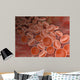 Inside Artery with Red Wall Decal