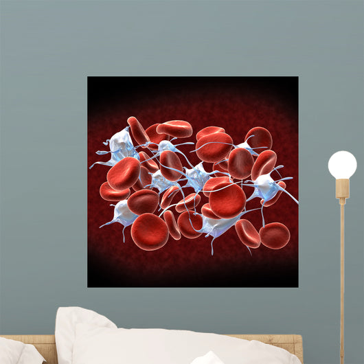 Red Blood Cells with Wall Decal Design 1