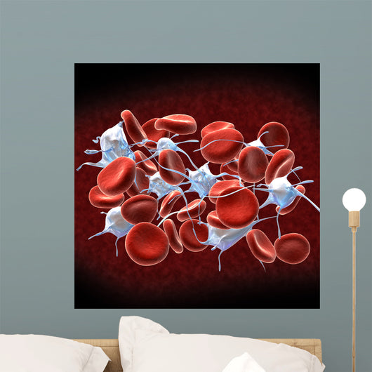 Red Blood Cells with Wall Decal Design 1