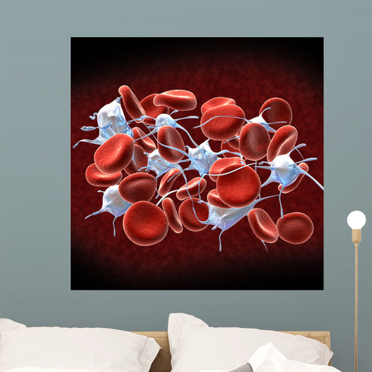 Red Blood Cells with Wall Decal Design 1