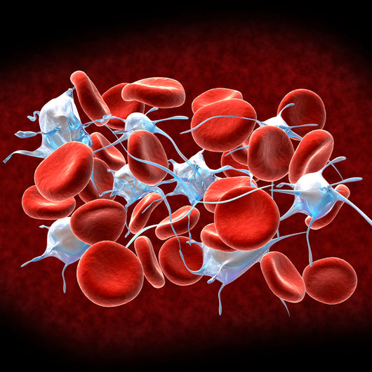 Red Blood Cells with Wall Decal Design 1