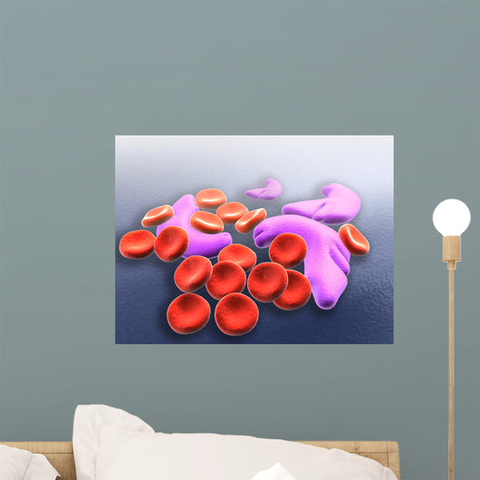 Conceptual Image Sickle Cell Wall Decal Design 2