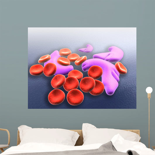 Conceptual Image Sickle Cell Wall Decal Design 2