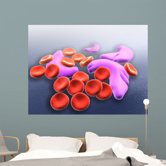Conceptual Image Sickle Cell Wall Decal Design 2
