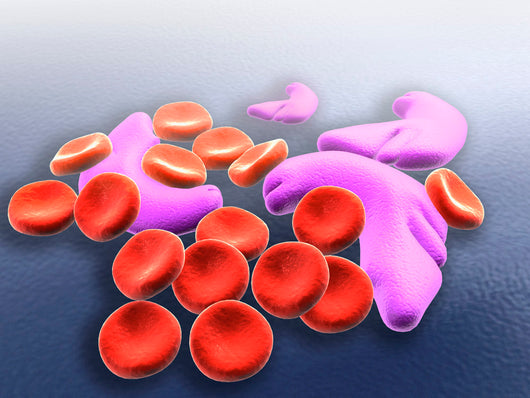 Conceptual Image Sickle Cell Wall Decal Design 2