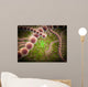 Microscopic Streptococcus Pneumoniae Wall Decal