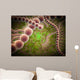 Microscopic Streptococcus Pneumoniae Wall Decal