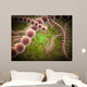 Microscopic Streptococcus Pneumoniae Wall Decal