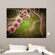 Microscopic Streptococcus Pneumoniae Wall Decal