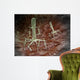Microscopic Bacteriophages Surface Bacteria Wall Decal