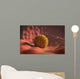 Virus Landing Cell Membrane Wall Decal