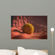 Virus Landing Cell Membrane Wall Decal