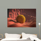 Virus Landing Cell Membrane Wall Decal
