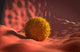 Virus Landing Cell Membrane Wall Decal