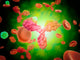 Microscopic Human Antibodies with Wall Decal